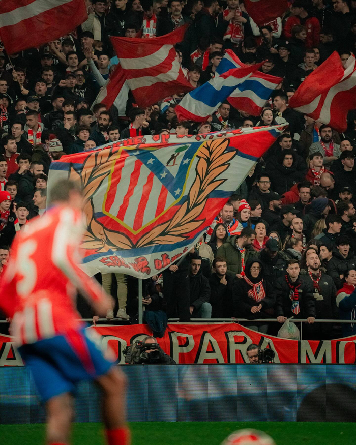 5月出海：莉莉丝Dislyte空降收入榜 SLG赛道迎来蚂蚁军团